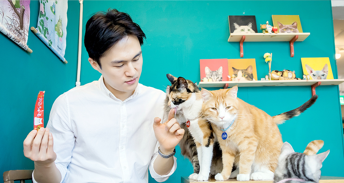 이학범 데일리벳 대표와 유기묘카페의 고양이들